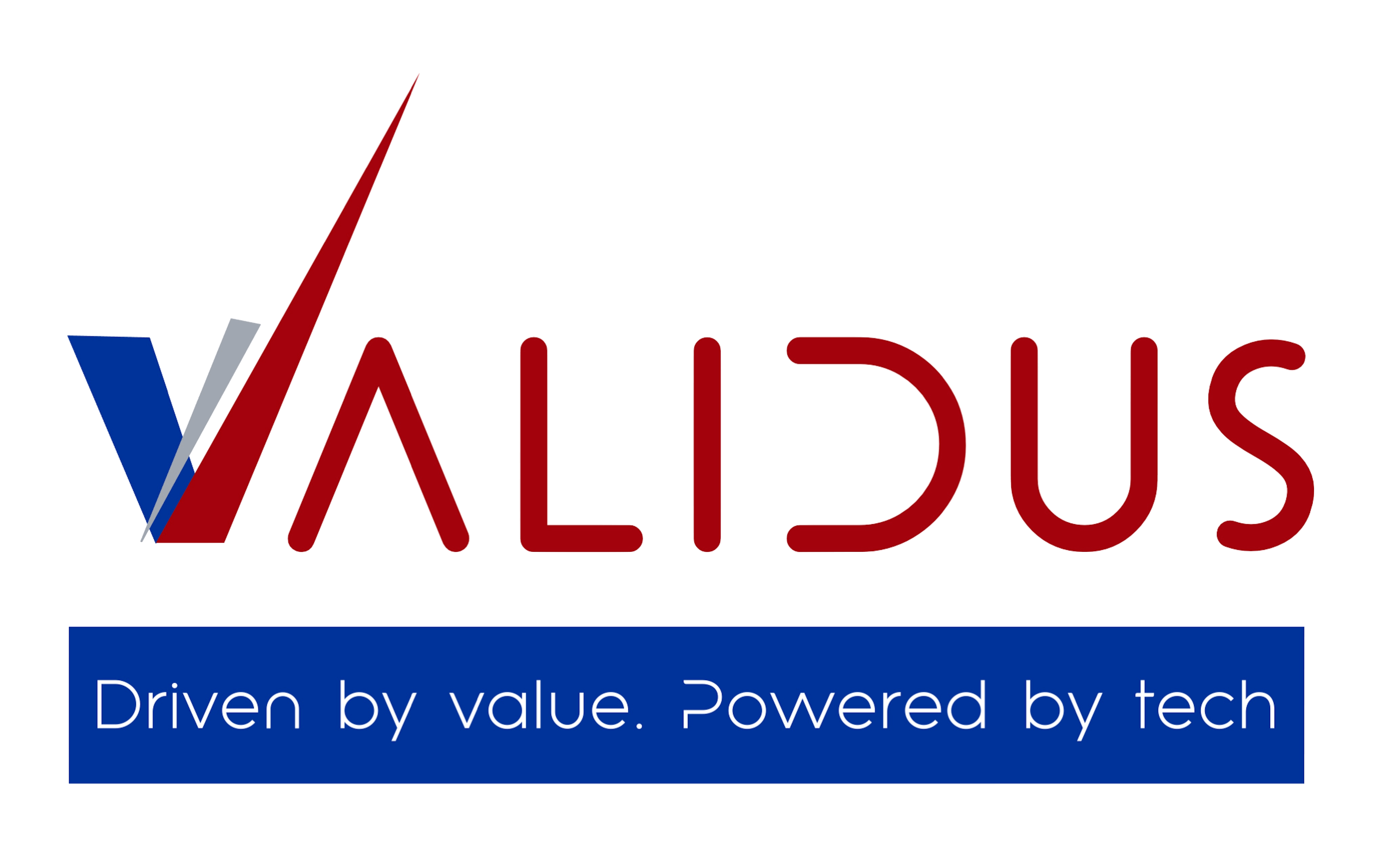 www.validusfintech.com